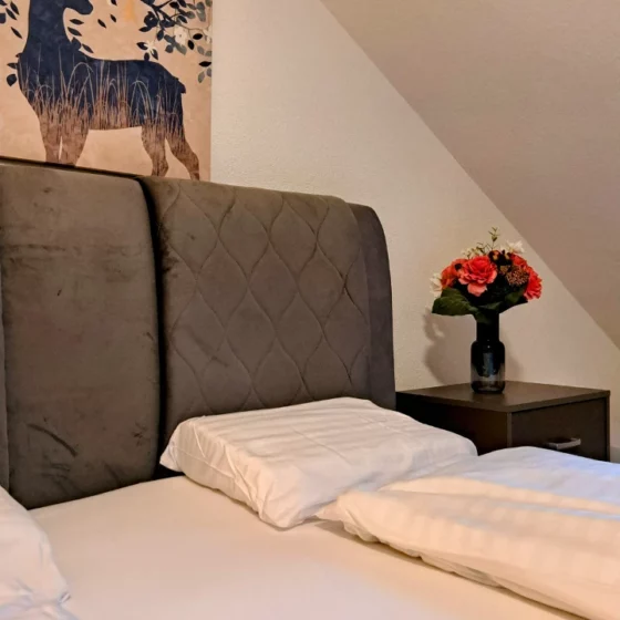 Comfort Einzelzimmer Hechtplatz